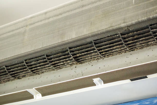 Best Air Vent Cleaning Services  in Carl Junction, MO